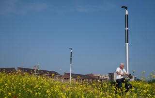 Soluxio solar light pole in beautiful flower field